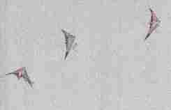 <Formation Flying Deltas> 